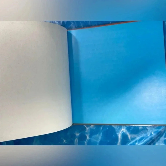 Come Back Puppies / a Hide and Seek Book by Jan Ormerod - 1992 - Picture 5 of 12